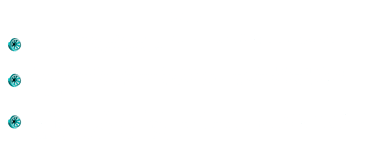 Goals of The Wright Wheelhouse roller skating rink venue are listed