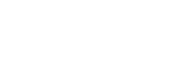 logo et texte webdiz