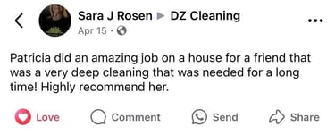 review cleaning services deep clean