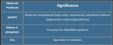 HMP-shunt-significance