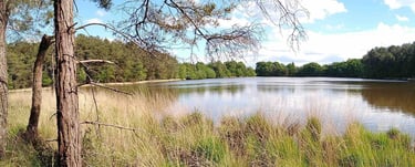 Etang de la forêt de Brocéliande à 50m DU COCON ENCHANTEUR