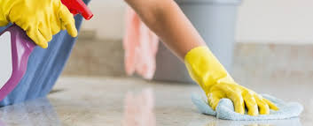 wykonywanie przez osobę usługi sprzątania