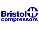 Bristol Piston