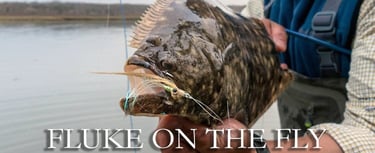 Fluke on the fly