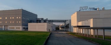 milesi, ader boya, IVM group, italyan mobilya verniği