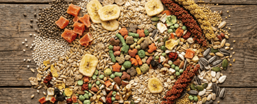 A variety of healthy small animal pet food including seeds, dried fruit, nuts, and grain on a wood background.