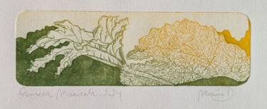 Gunnera Manicata gravure tetrapak