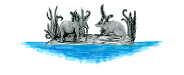 Draw of an elephant and a rodent in an island, by Blanca Moncunill-Solé CC BY-NC-ND 4.0