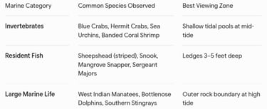 fish at point of Rocks chart