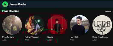 Fans also like