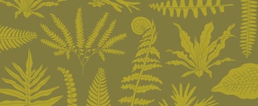 Fern City Brand Pattern of hand drawn illustrated ferns