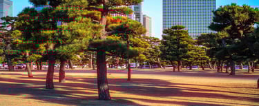 Tokyo Cinematic