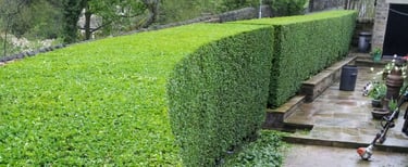 Sharp Hedges Faqs