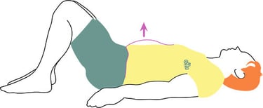 contrôle de la respiration ventrale