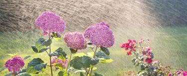 Irrigation repair company