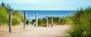 palm-coast-florida-webcams
