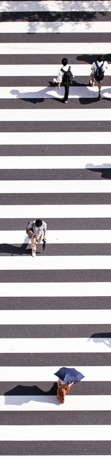 Pedestrians crossing a major road