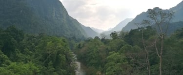 Phong Nha