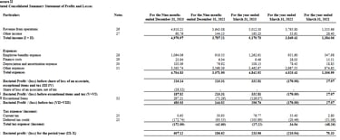 profit loss statement_ixigo business analysis