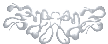 titre zyggyz blanc organique