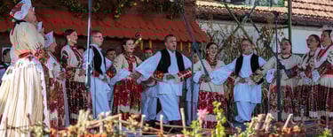 Voloderska jesen 2021. Photo by Damir Pahić