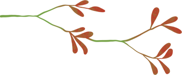 artistic, horizontal green branch with red leaf nodes