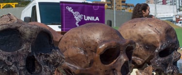 exposição de réplicas de crânios fósseis de humanos no evento unila na feira