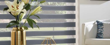 Dual shade roller blinds