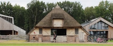 Schaapskooi Ruinen voor heidagen van Plato