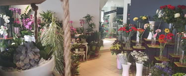 Rénovation d'une boutique