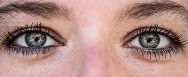 emdr- traumatisme- phobie