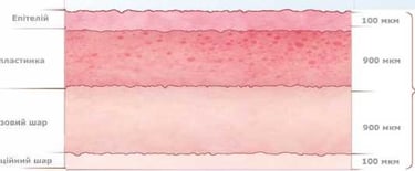 фото схема Вагінальний епітелій до менопаузи