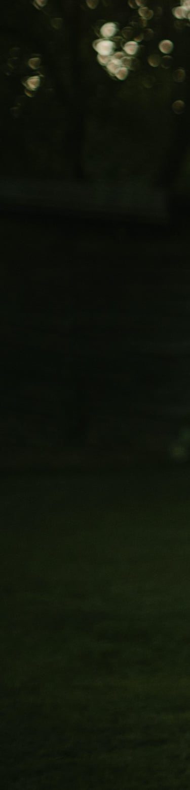 labai tamsios žalios spalvos fonas