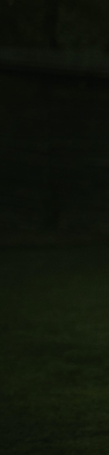 tamsiai žalios spalvos fonas