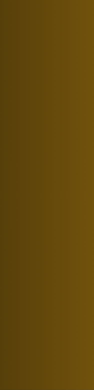 modalidad premium Exclusive Jordan