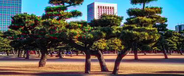 Tokyo Cinematic