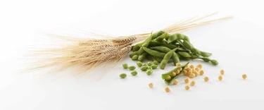 soy wheat pea