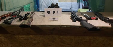 pneumatinis ginklu tiras su taikiniais ir ginklais