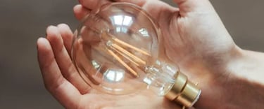 2 hands hold a lamp bulb