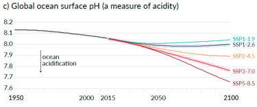 Evolution du PH des océans - GIEC