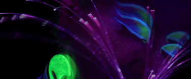 An image of Illuma doing creative modeling, she is in the dark, holding a fiberoptic glowing whip
