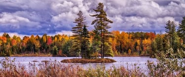 A small island observed in Ontario by Environmental Consultants at Aster Environmental.