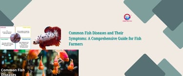 Common Fish Diseases and Their Symptoms: A Comprehensive Guide for Fish Farmers