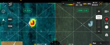 Bišono paieška termoviziniu dronu