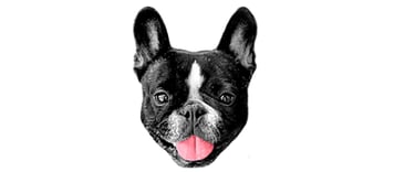 Logo Mon petit parrain | bouledogue