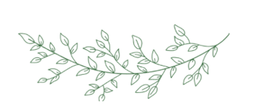 a branch of a plant with leaves on it