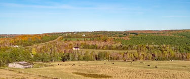 Fall colours scenery in PEI