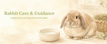 Hot Cross Buns' Rabbit Care & Guidance banner featuring Genevieve