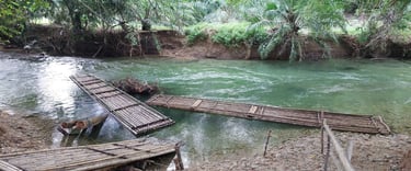 thailand khao lak bamboo rafting