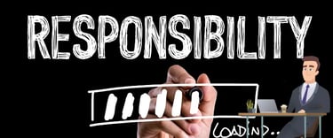 Responsibility of Director